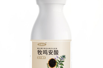 沙龙洗发水品牌，哪款适合你的头发需求？
